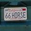 66horse
