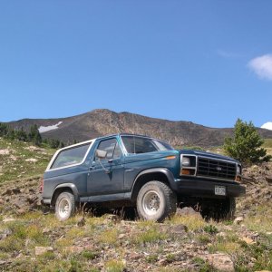 Bronco_207