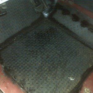 DS Floor Pan