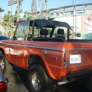 Bertha hanging out at Dodger Stadium.