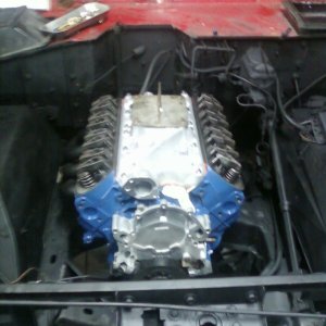 Newly built short block.