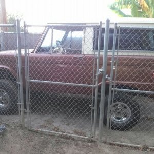 ANTiCON 1974 Bronco Ranger