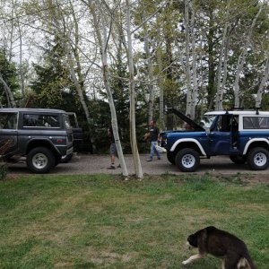 Side view of a Driveway full of broncos