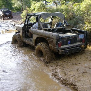 Playing in a pond in Southern Oregon