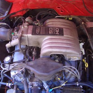Fuel Injected 1987 302 5.0 HO Upgrade