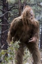 MessinWithSasquatch_2-full.jpg