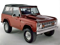 1973bronco (Large).jpg