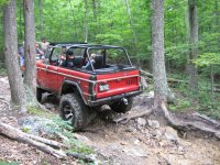 bronco roundup 2011 008.jpg