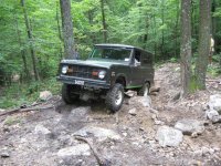 bronco roundup 2011 009.jpg