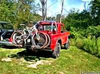 cartoon bronco and bikes.jpg