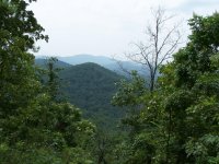 Choccolocco Mtn. trail ride 013.jpg