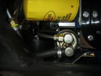 new fuel line & filter 005.jpg