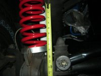 engine and springs settling 004.jpg