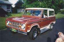 Stock 74 Bronco stripes.jpg