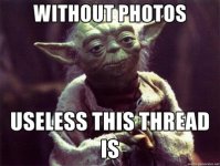 yoda-without-pic.jpg