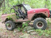 Bronco in the woods 002.JPG