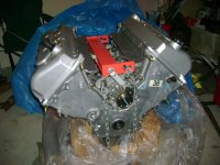 080708 1999 Cobra Motor.jpg