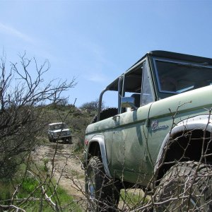 AZ Bronco Stampede 2010