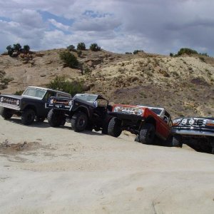 A line of Fords