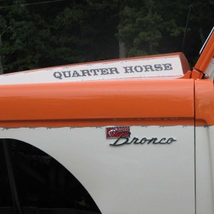 OCBR 2007 - Quarter Horse
