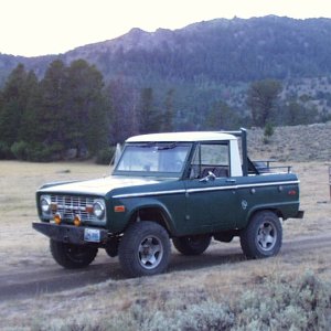 Bronco196