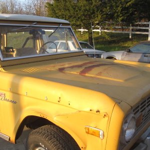 1972 Bronco Sport