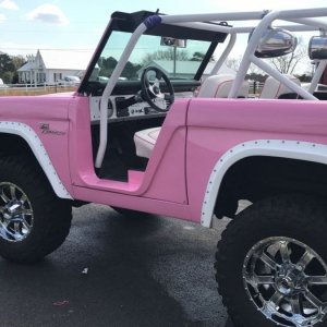 The Pink Bronco