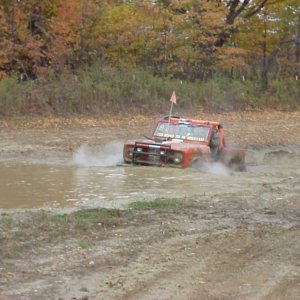 Hillbilly the bronco in the bog