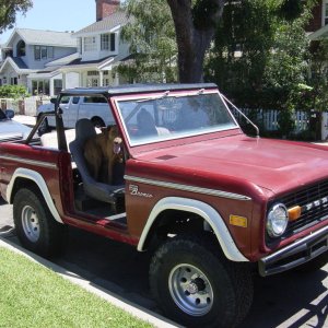 the sagging rear bronco with hound