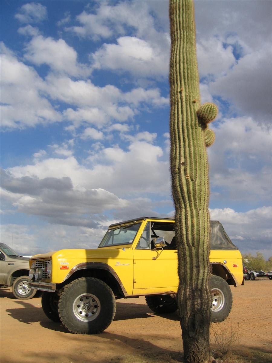 2006 AZ Stampede