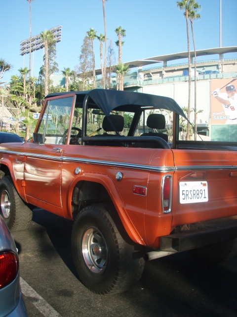 Bertha hanging out at Dodger Stadium.