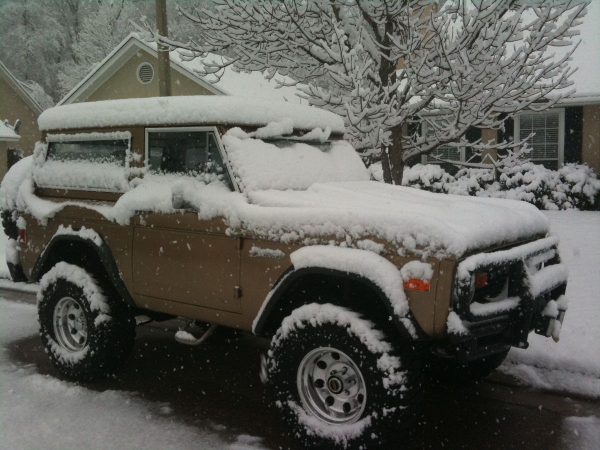 Bronco and Snow