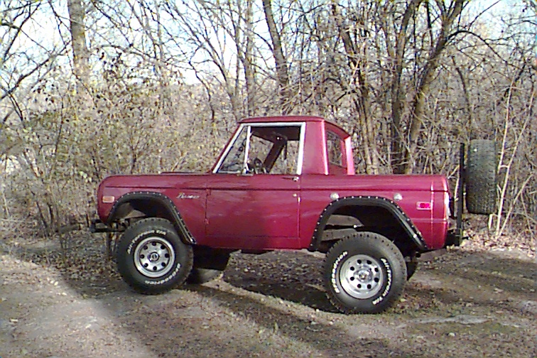 Bronco in the backyard