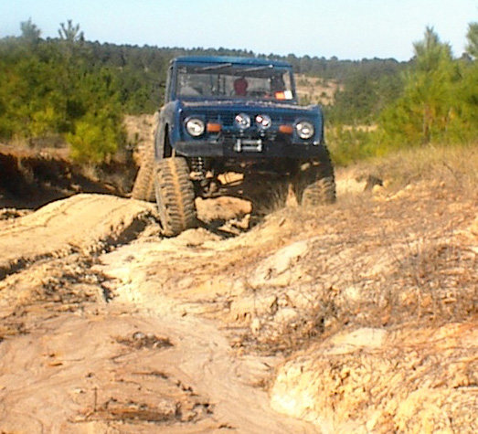 Climbing on Peason Ridge WMA