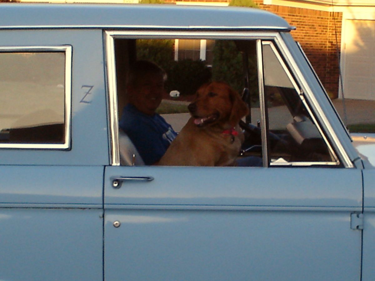 Dad and Sadie, weekend ride.