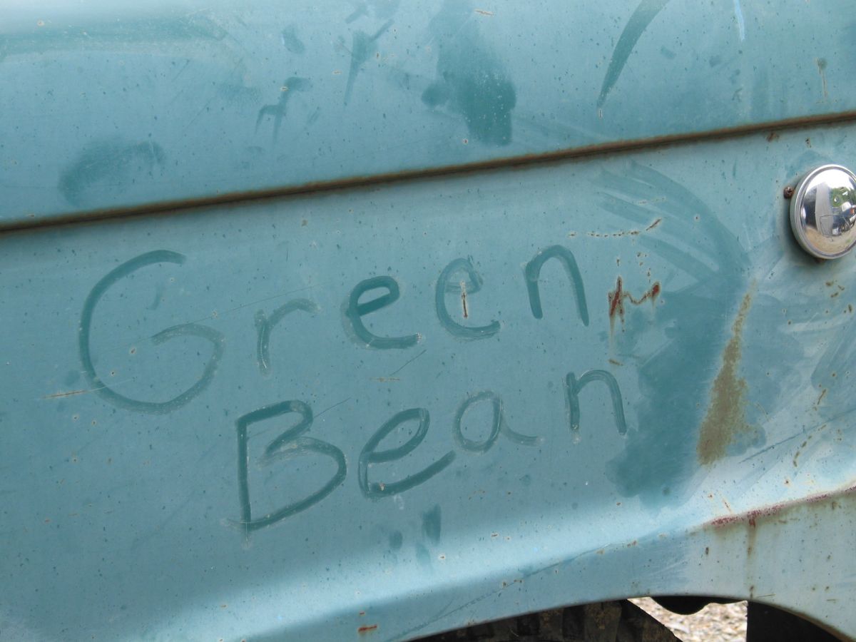 Grandpa's green bean