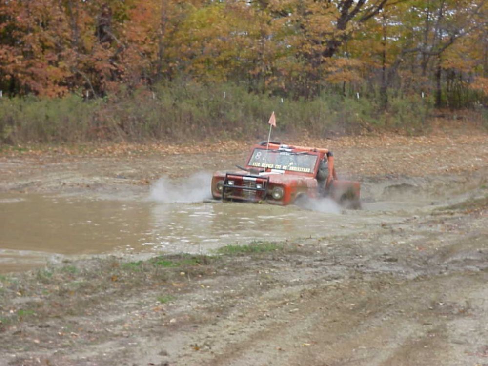 Hillbilly the bronco in the bog