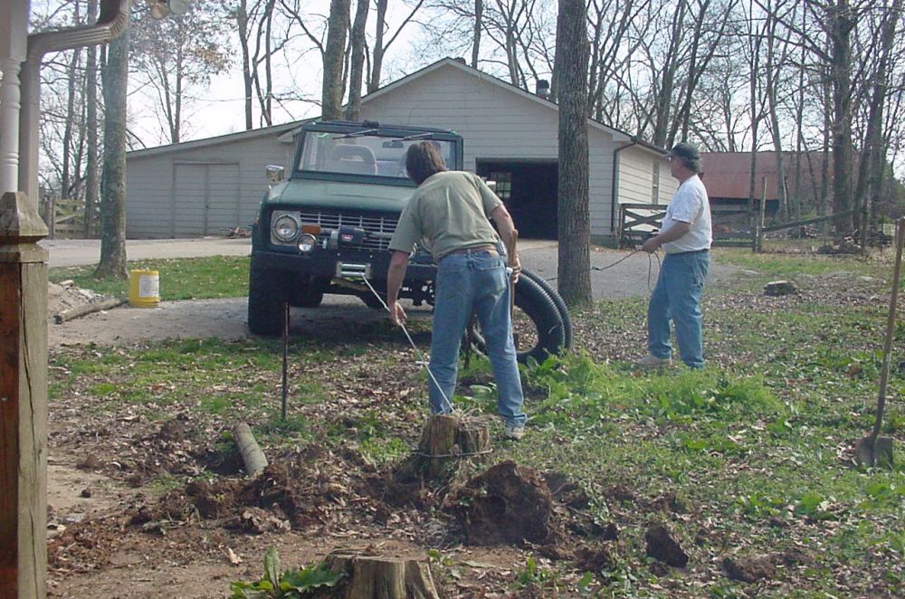 Pulling Cedar Stumps