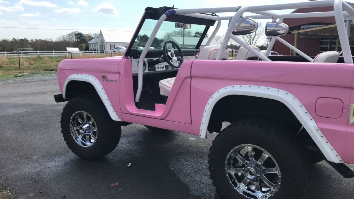 The Pink Bronco