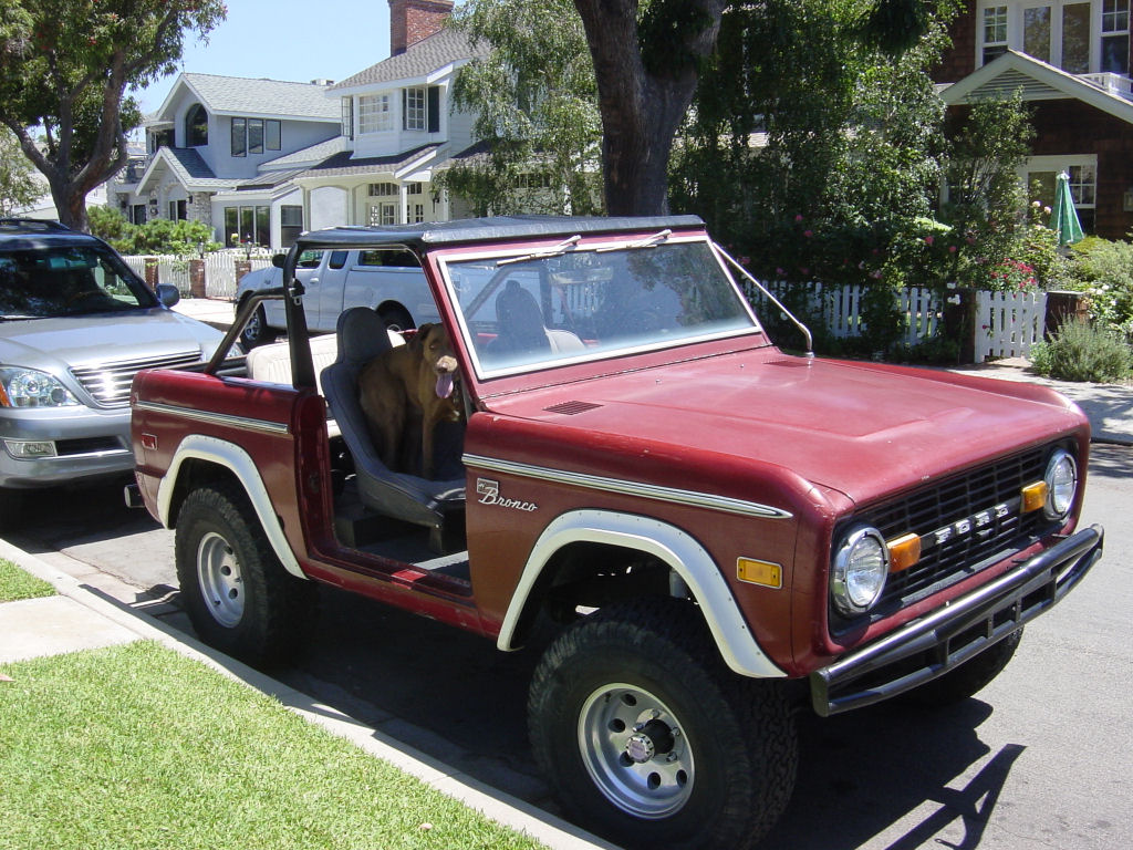 the sagging rear bronco with hound